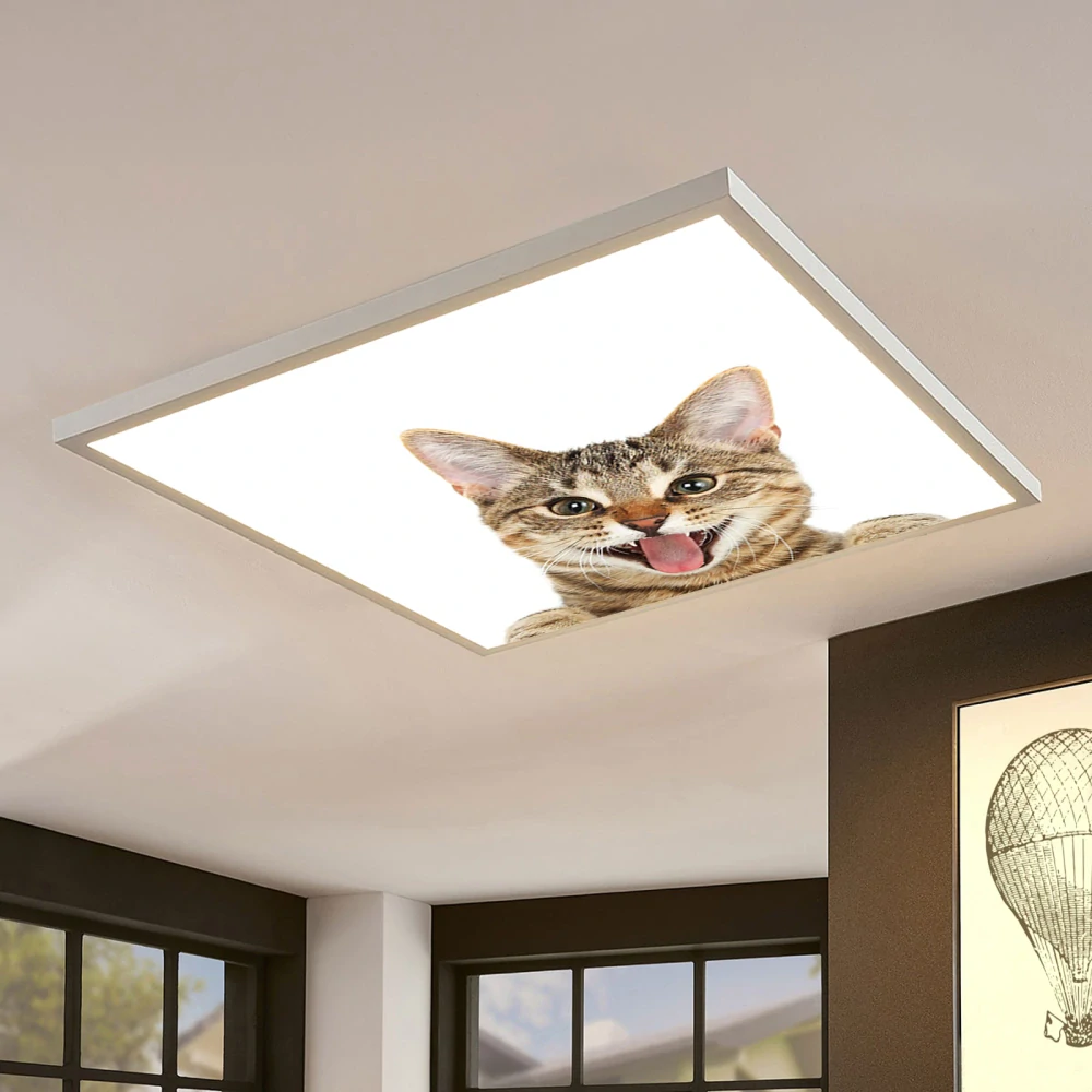 Dětské LED stropní svítidlo ORTUS - motiv kočka