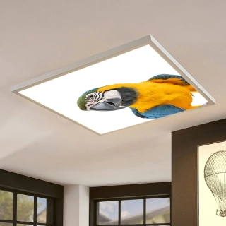 Dětské LED stropní svítidlo ORTUS - motiv papoušek